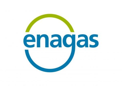 Enagás logo