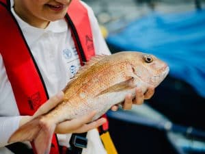 pesca