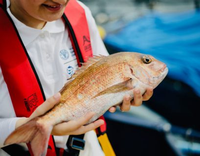 pesca