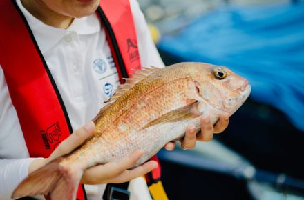 pesca