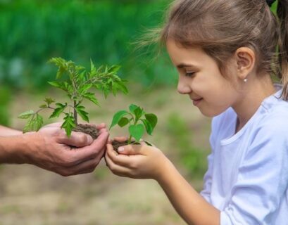 educación ambiental