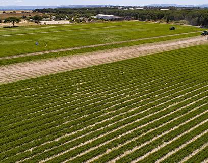 agricultura ecológica