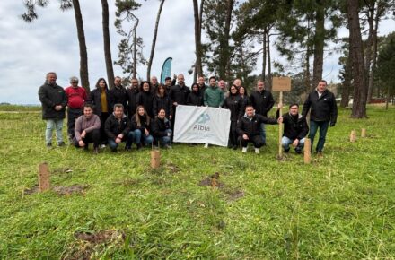 grupo albia