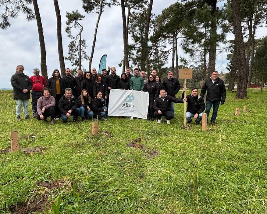 grupo albia