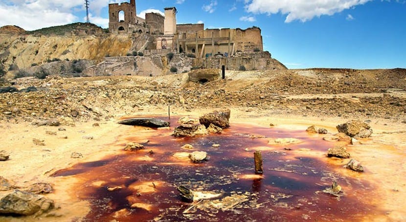 bacterias extremófilas