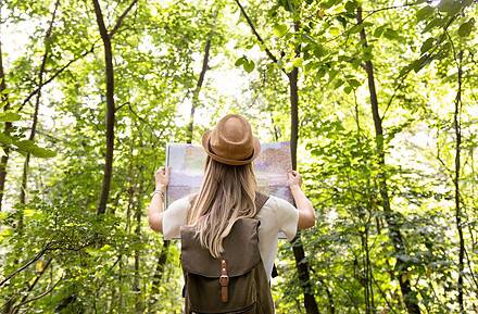 viajes sostenibles