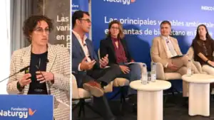 Biometano en España