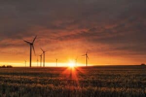 Parque eólico al atardecer con aerogeneradores en un campo de cereales, simbolizando la transición energética y la sostenibilidad