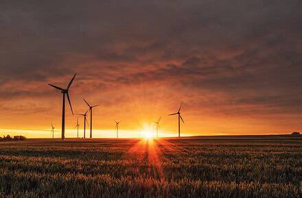 Parque eólico al atardecer con aerogeneradores en un campo de cereales, simbolizando la transición energética y la sostenibilidad