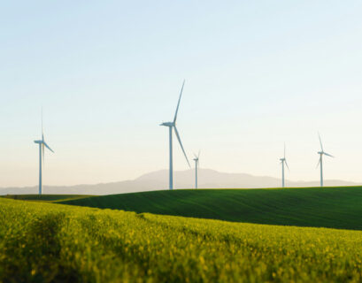 Día Mundial del Viento: la eólica como motor de la transición