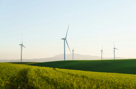 Día Mundial del Viento: la eólica como motor de la transición