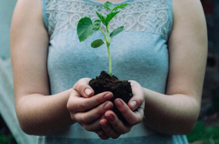 La preocupación climática intensa en España cae del 67% al 42% en seis años y los jóvenes lideran el retroceso