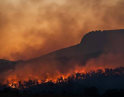 incendios forestales