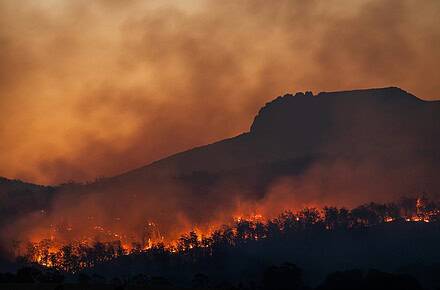 incendios forestales