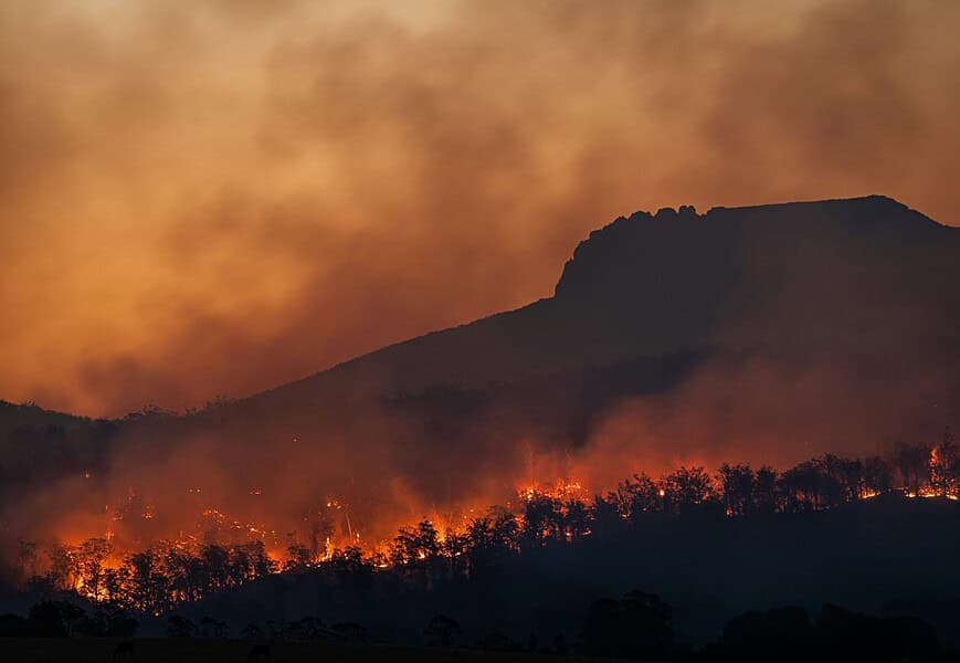 incendios forestales